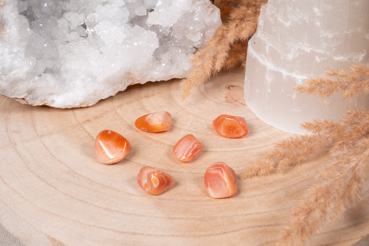 Karneol Trommelstein S