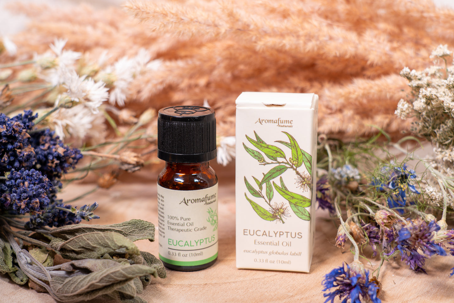 Ätherisches Öl Eukalyptus